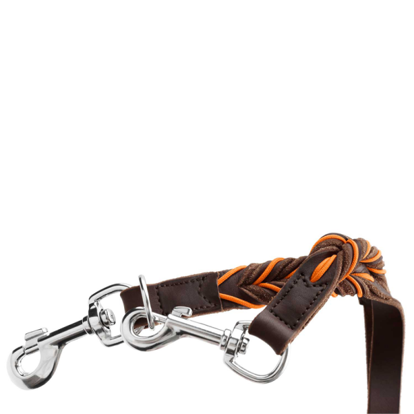 Hunter Solid Education Training Leash for Dogs (Dark Brown) Fashion