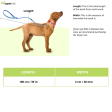 Hunter Softie Leash for Dogs (Brown) Online Hot Sale