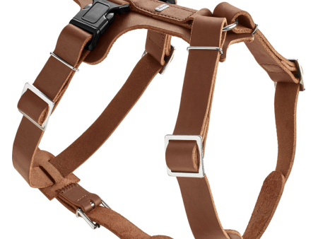 Hunter Aalborg Adjustable Leather Harness for Dogs (Cognac) For Sale