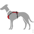 Hunter Aalborg Mixed Adjustable Harness for Dogs (Grey Red) Fashion