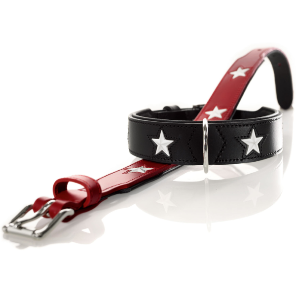 Hunter Magic Star Collar for Dogs (Black) Discount