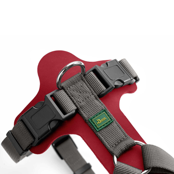 Hunter Aalborg Mixed Adjustable Harness for Dogs (Grey Red) Fashion