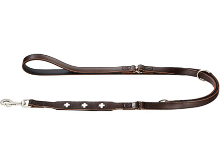 Hunter Swiss Training Leash for Dogs (Brown) Online