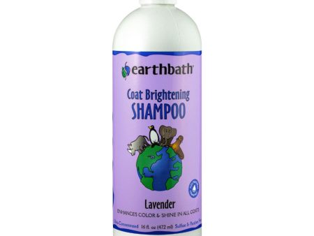 20% OFF: Earthbath Coat Brightener (Lavender) Shampoo 16oz Hot on Sale