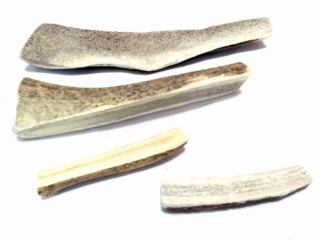 Chew Time Split Antler Dog Chew For Cheap