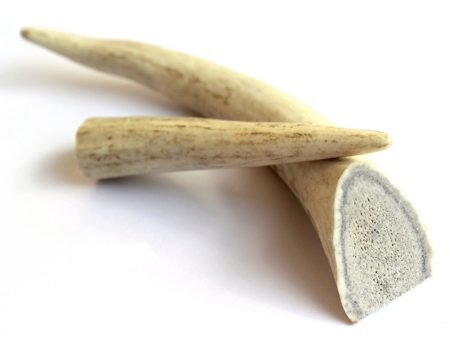 Chew Time Whole Antler Dog Chew For Sale