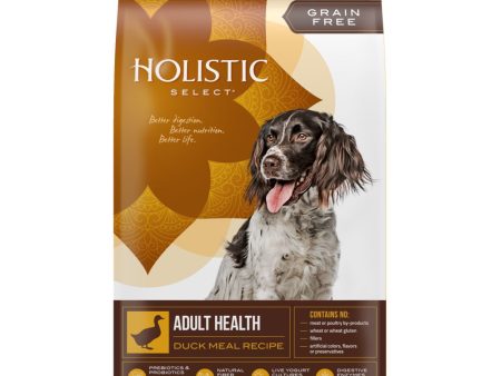 Holistic Select Grain Free Adult Health Duck Meal Dry Dog Food Cheap