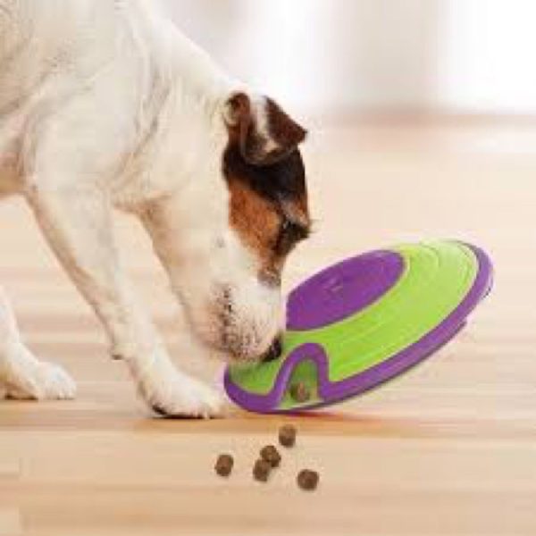 $8 OFF: Outward Hound Nina Ottosson Treat Maze Interactive Dog Toy Online now